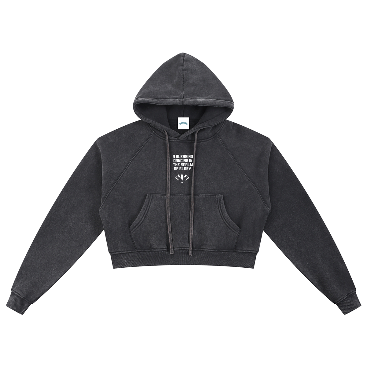 Glory Snow Washed Cropped Hoodie