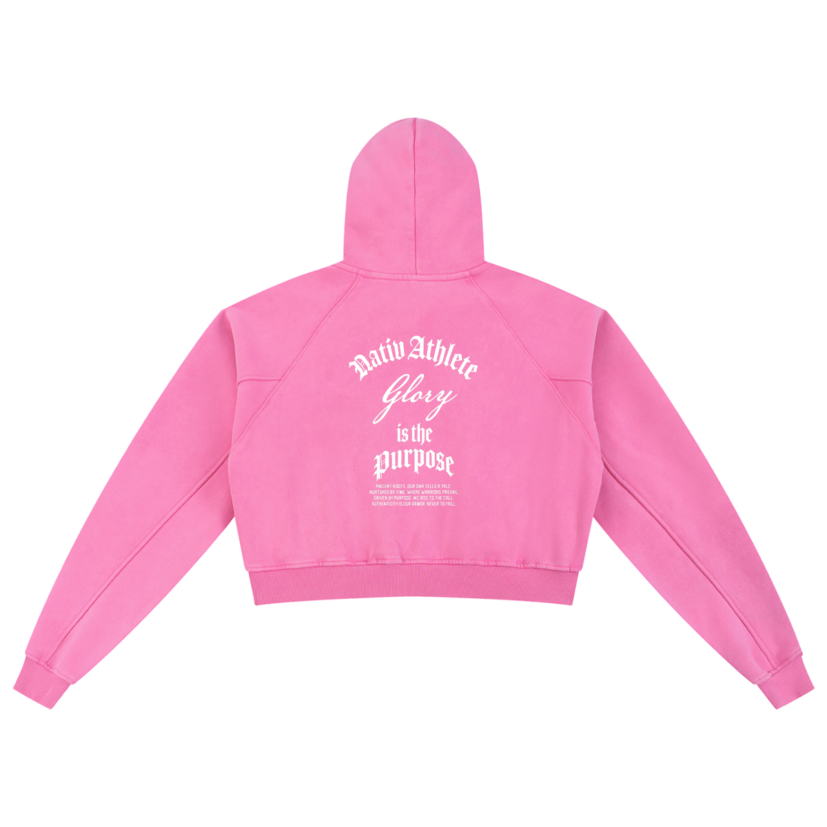 Glory Snow Washed Cropped Hoodie