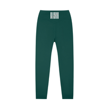Nativ Sculpt Leggings